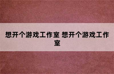 想开个游戏工作室 想开个游戏工作室